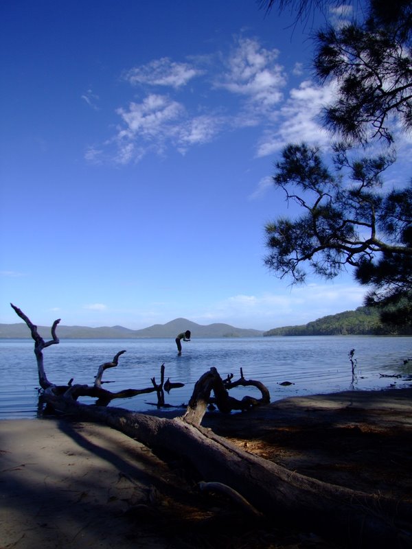 Travel - Australia - Dery Pictures Bush Party - The Lake near Forster